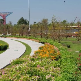 Hội hoa xuân 2020 Vinhomes Grand Park